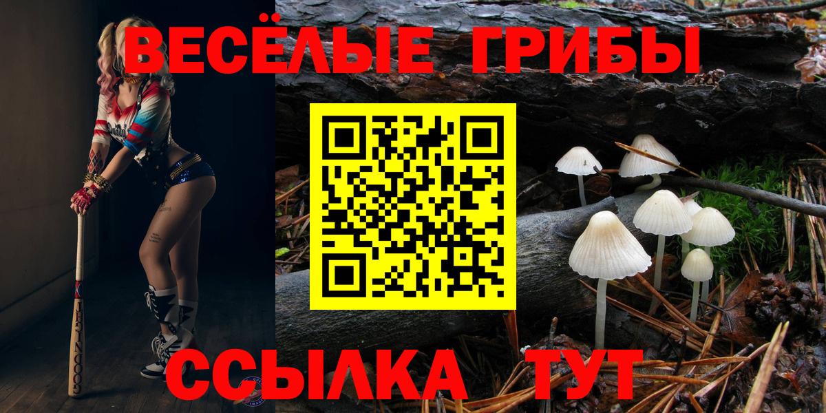 Галлюциногенные грибы Magic Shrooms Волжский