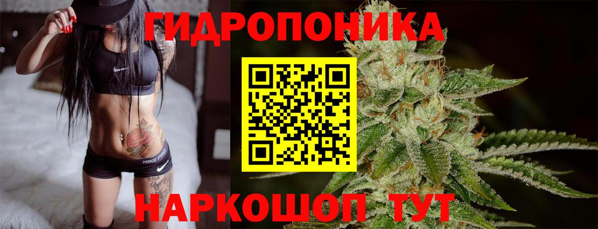 Шишки марихуана OG Kush  Вход с VPN  Волжский  Бошки Шишки план 